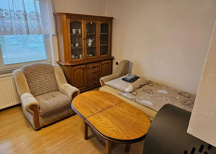 Ruzovka V Jesenikach Lodge *